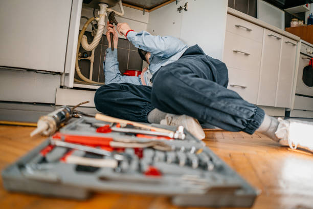 Best Sprinkler Systems  in Adelphi, MD